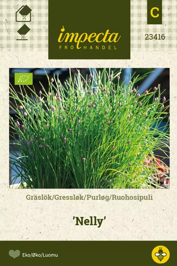 RUOHOSIPULI NELLY - Muut vihannesten siemenet - 7332756234167 - 1