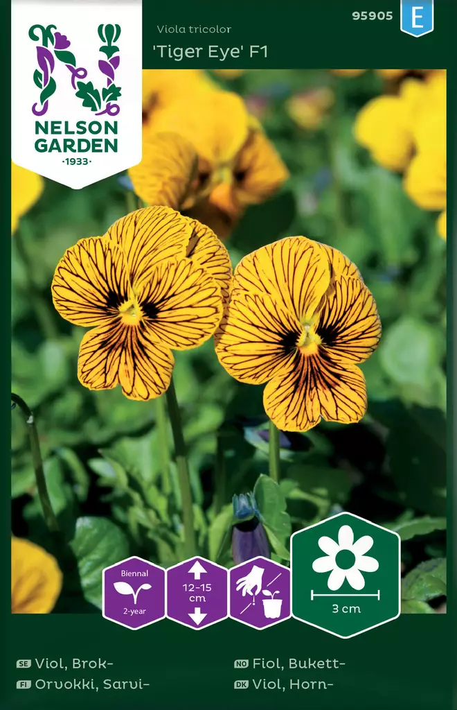 SARVIORVOKKI TIGER EYE F1 - Muut kesäkukkien siemenet - 7312600959057 - 2