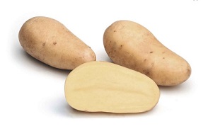 SIEMENPERUNA ANNABELLE 5 KG - Siemenperunat - 6417486003267 - 1