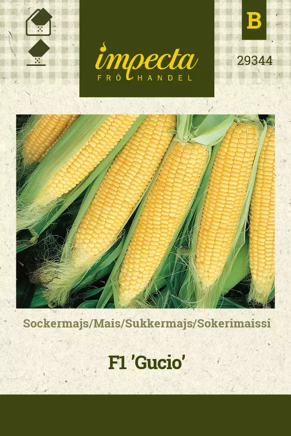 SOKERIMAISSI GUCIO - Muut vihannesten siemenet - 7332756293447 - 1