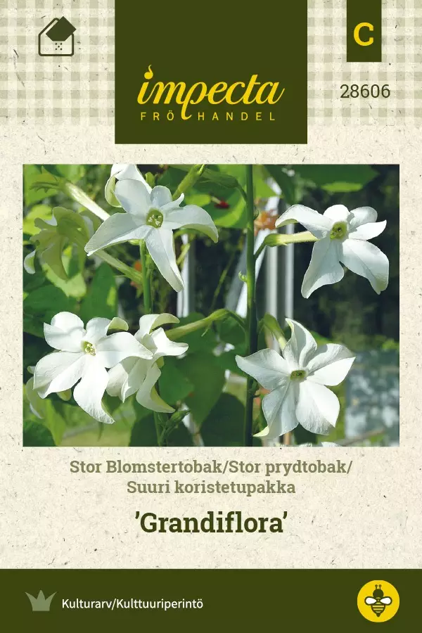 SUURI KORISTETUPAKKA GRANDIFLORA - Muut kesäkukkien siemenet - 7332756286067 - 1