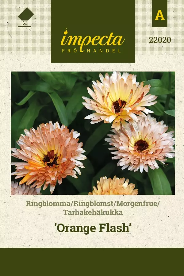 TARHAKEHÄKUKKA ORANGE FLASH - Kehäkukan siemenet - 7332756220207 - 1