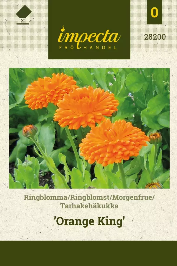 TARHAKEHÄKUKKA ORANGE KING - Kehäkukan siemenet - 7332756282007 - 1