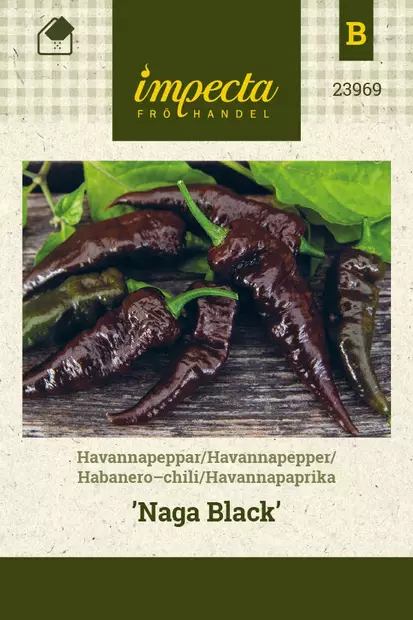 HAVANNAPAPRIKA NAGA BLACK - Paprikan ja chilin siemenet - 7332756239698 - 1