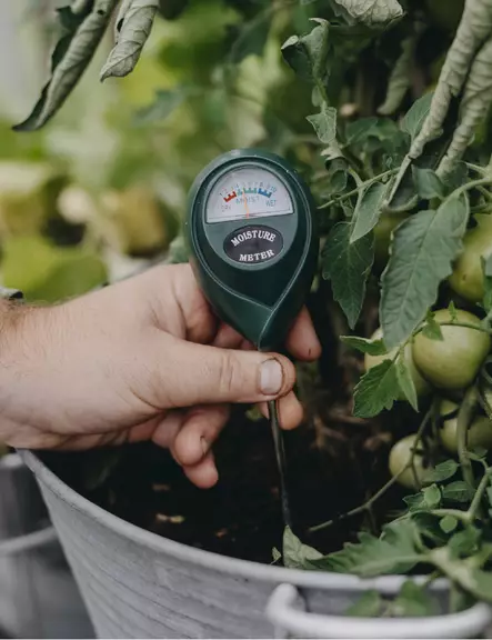 KOSTEUSMITTARI - Viljelytarvikkeet - 7312600054288 - 2