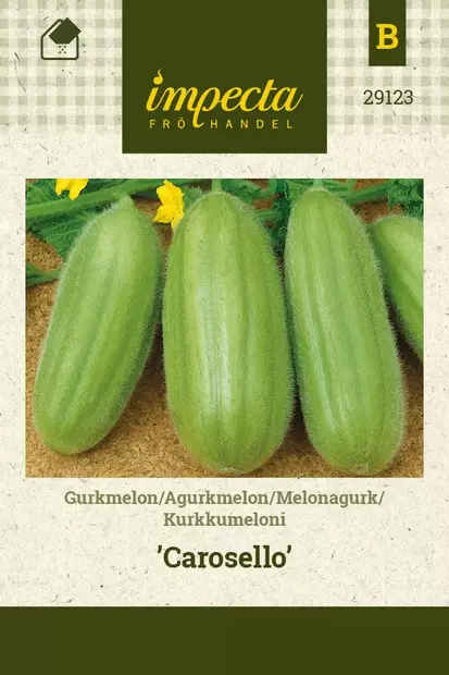 KURKKUMELONI CAROSELLO - Muut vihannesten siemenet - 7332756291238 - 1