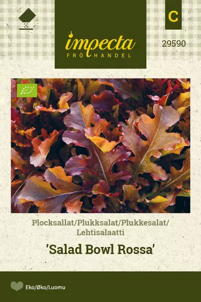 LEHTISALAATTI SALAD BOWL ROSSA - Salaatin siemenet - 7332756295908 - 1