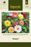 DAALIA GIANTS - Muut kesäkukkien siemenet - 7332756261668 - 1