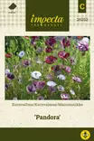 SILKKIUNIKKO PANDORA - Muut kesäkukkien siemenet - 7332756262528 - 1
