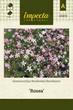 KESÄHARSO ROSEA - Muut kesäkukkien siemenet - 7332756284018 - 1