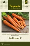 KESÄPORKKANA BERLIKUMER 2 - Porkkanan siemenet - 7332756293768 - 1