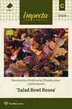 LEHTISALAATTI SALAD BOWL ROSSA - Salaatin siemenet - 7332756295908 - 1