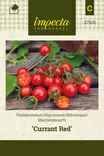MARJATOMAATTI CURRANT RED - Tomaatin siemenet - 7332756270318 - 1