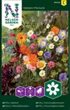 MEHILÄISKUKKIA SEOS - Muut kesäkukkien siemenet - 7312600932548 - 2
