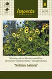 RANTA-AURINGONKUKKA SOLUNA LEMON - Auringonkukan siemenet - 7332756242728 - 1