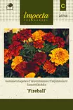 SAMETTIKUKKA FIREBALL - Muut kesäkukkien siemenet - 7332756287668 - 1
