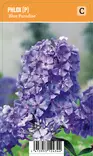 SYYSLEIMU BLUE PARADISE - Leimut - 2013117300008 - 1