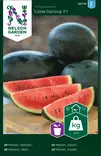 VESIMELONI LITTLE DARLING F1 - Muut vihannesten siemenet - 7312600907188 - 2