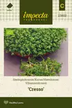 VIHANNESKRASSI CRESSO - Muut yrttien siemenet - 7332756238028 - 1