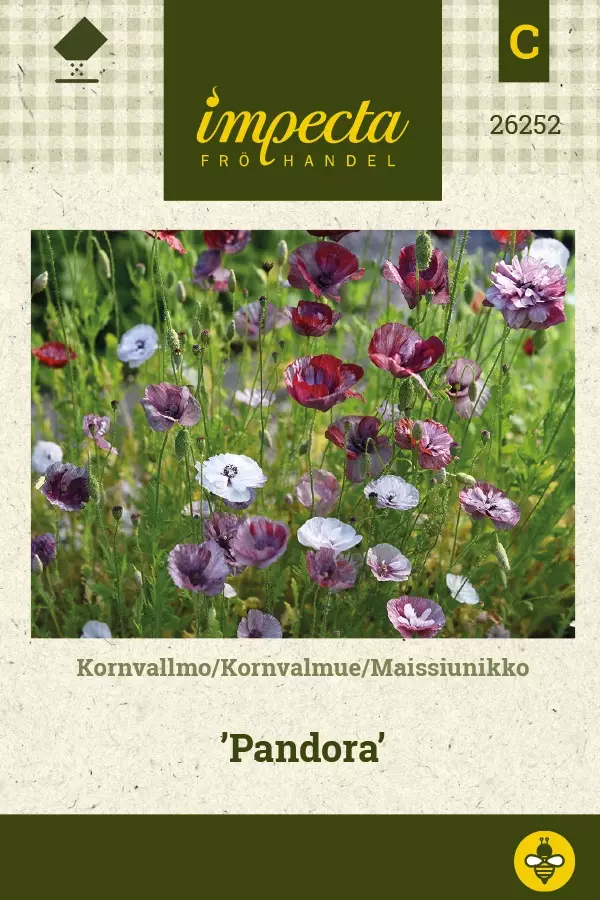 SILKKIUNIKKO PANDORA - Muut kesäkukkien siemenet - 7332756262528 - 1
