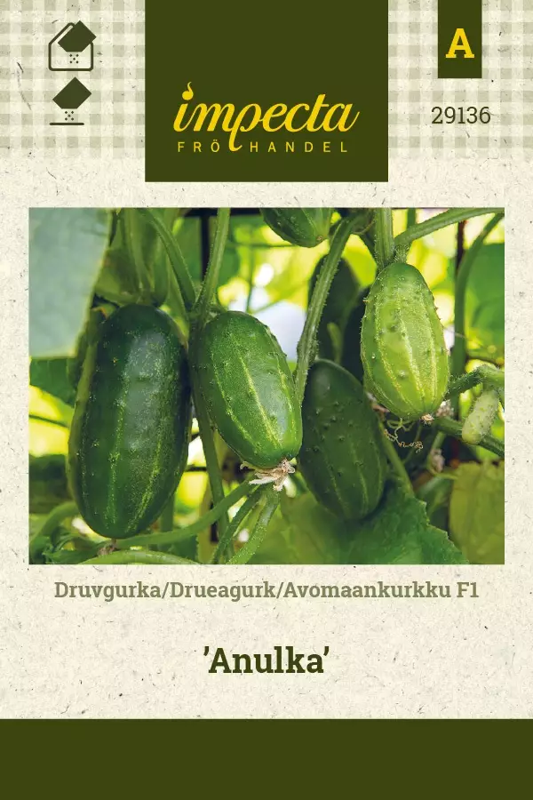 AVOMAANKURKKU ANULKA - Kurkun siemenet - 7332756291368 - 1