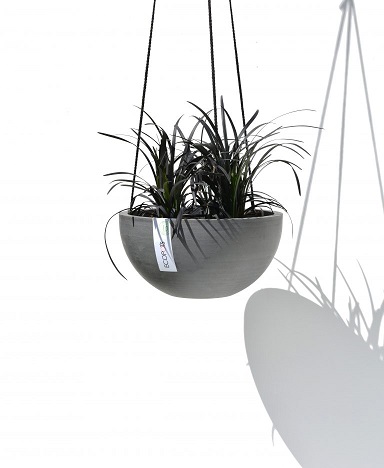 BRYSSELI AMPPELI HARMAA 27 CM - Amppelit - 5413724304968 - 1