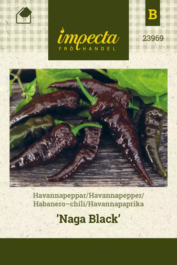 HAVANNAPAPRIKA NAGA BLACK - Paprikan ja chilin siemenet - 7332756239698 - 1