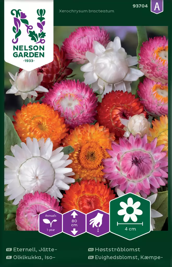 ISO-OLKIKUKKA, SEOS - Muut kesäkukkien siemenet - 7312600937048 - 2
