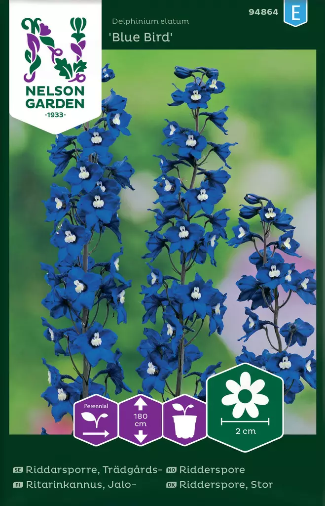 JALORITARINKANNUS BLUE BIRD - Perennojen siemenet - 7312600948648 - 1