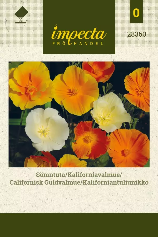 KALIFORNIANTULIUNIKKO - Muut kesäkukkien siemenet - 7332756283608 - 1