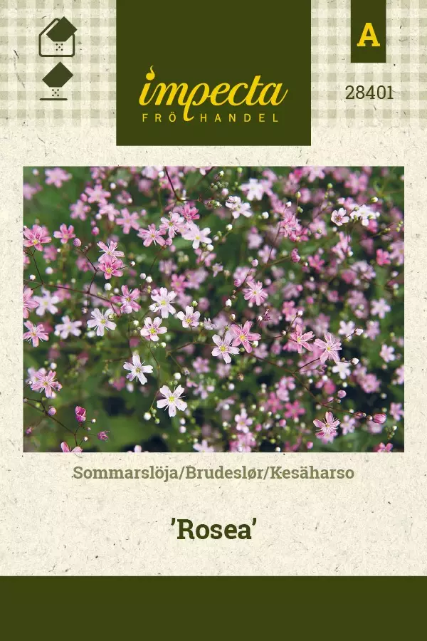 KESÄHARSO ROSEA - Muut kesäkukkien siemenet - 7332756284018 - 1