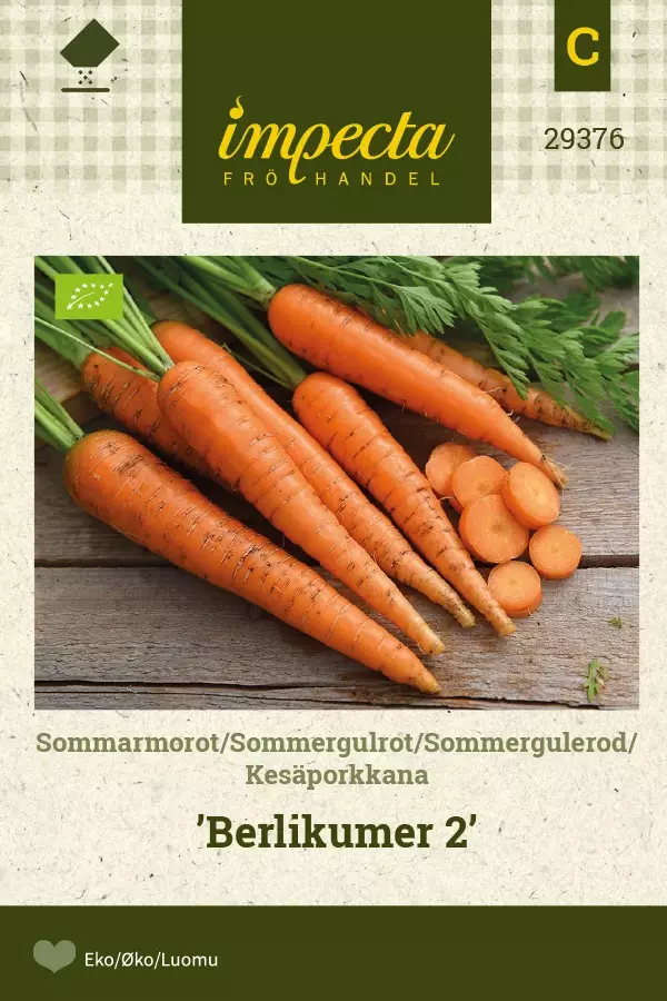 KESÄPORKKANA BERLIKUMER 2 - Porkkanan siemenet - 7332756293768 - 1