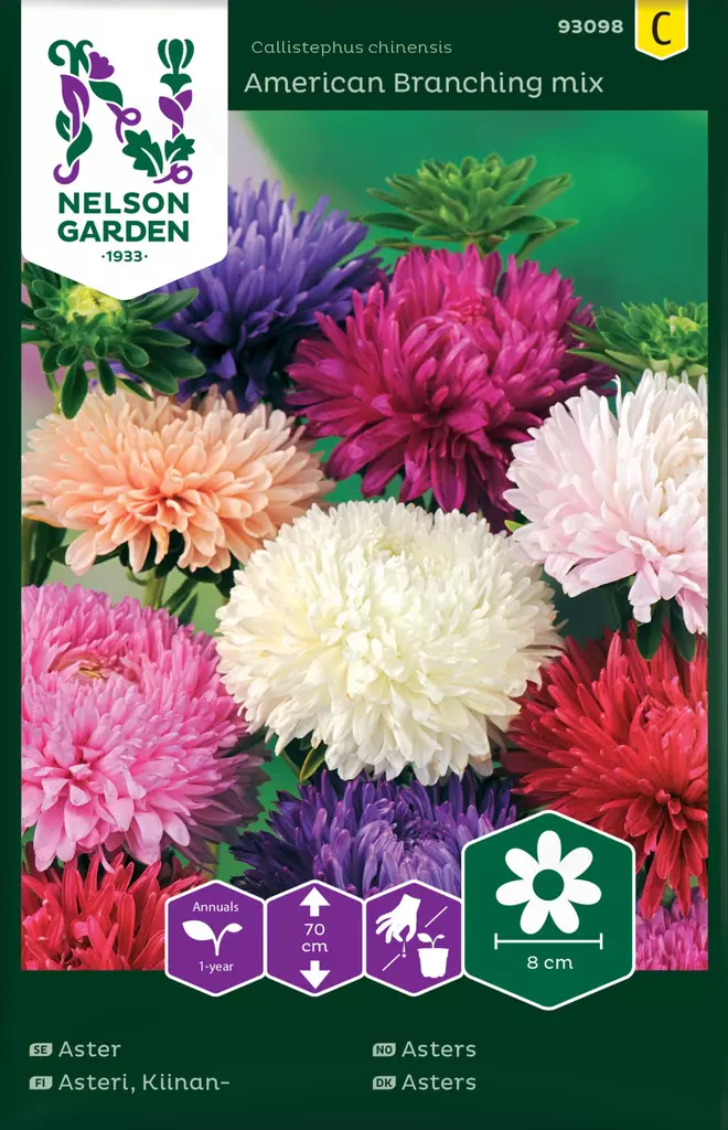 KIINANASTERI AMERICAN BRANCHING, SEOS - Asterin siemenet - 7312600930988 - 2