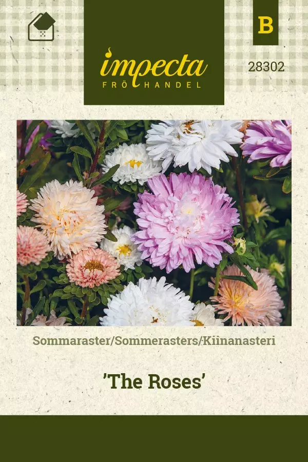 KIINANASTERI THE ROSES - Asterin siemenet - 7332756283028 - 1