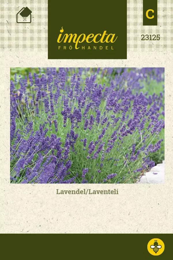 LAVENTELI - Perennojen siemenet - 7332756231258 - 1