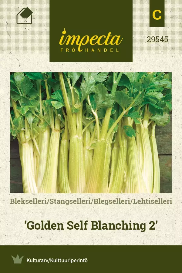 LEHTISELLERI GOLDEN SELF BLANCHING 2 - Muut vihannesten siemenet - 7332756295458 - 1