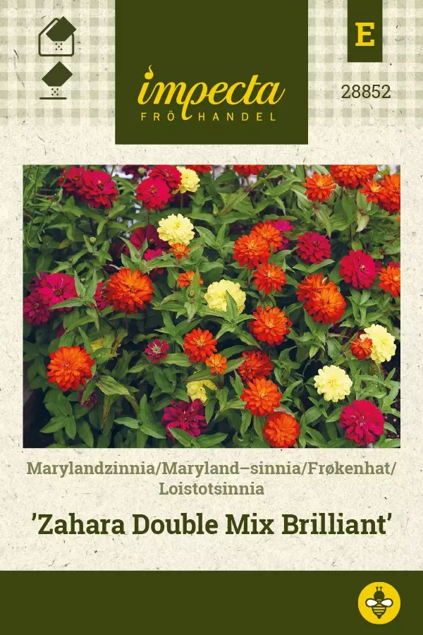 LOISTOTSINNIA ZAHARA DOUBLE MIX BRILLIAN - Tsinnian siemenet - 7332756288528 - 1