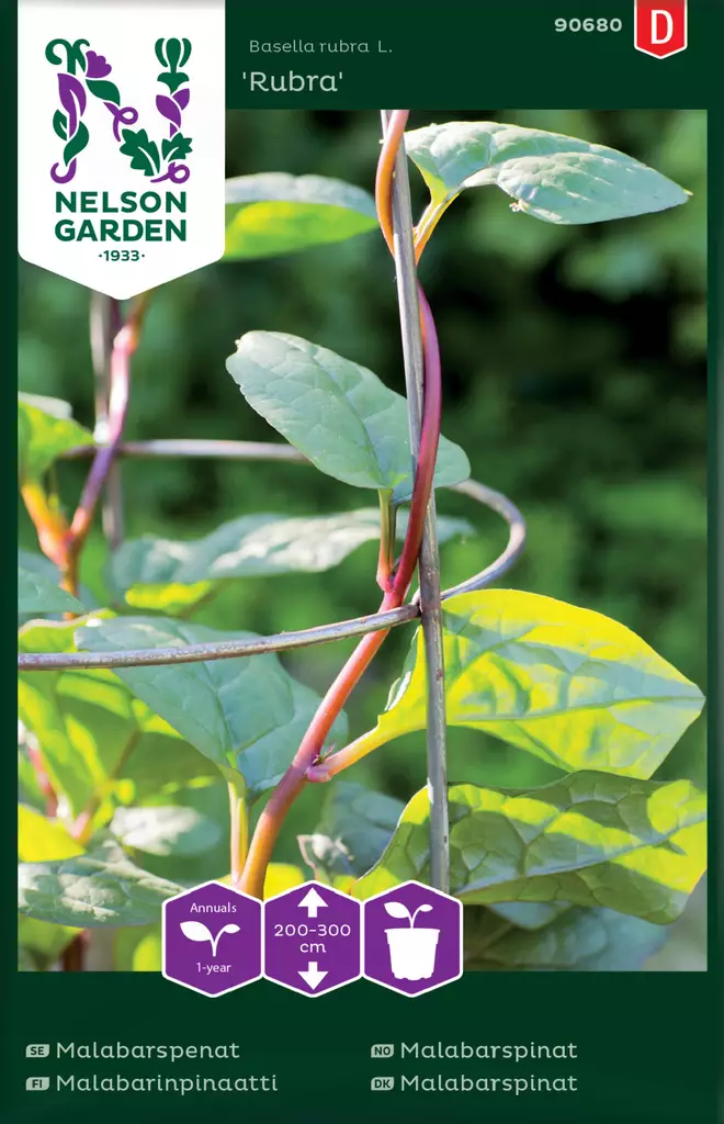 MALABARINPINAATTI - Muut vihannesten siemenet - 7312600906808 - 2