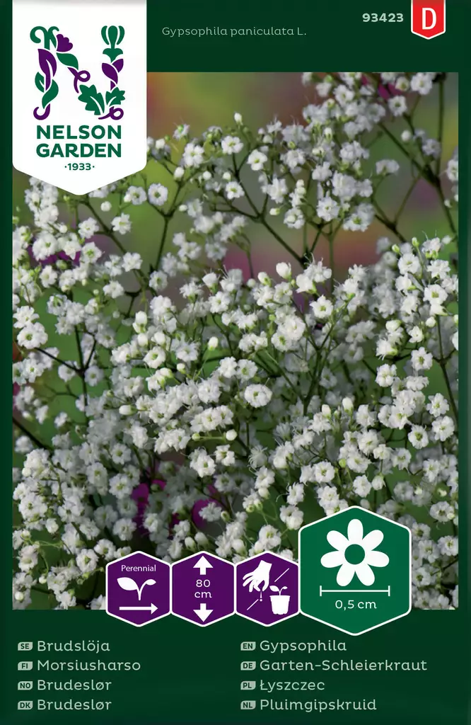 MORSIUSHARSO - Perennojen siemenet - 7312600934238 - 1