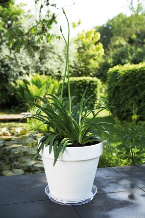 MUOVIALUSTA 18 CM KIRKAS - Aluslautaset - 8711904228668 - 1