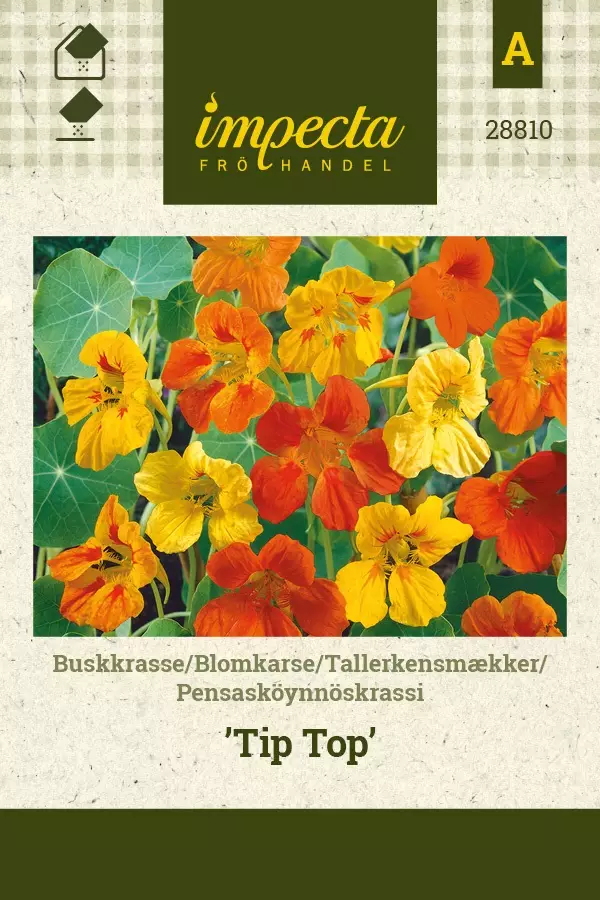 PENSASKÖYNNÖSKRASSI TIP TOP - Krassin siemenet - 7332756288108 - 1