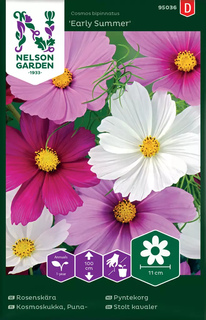PUNAKOSMOSKUKKA EARLY SUMMER, SEOS - Muut kesäkukkien siemenet - 7312600950368 - 2