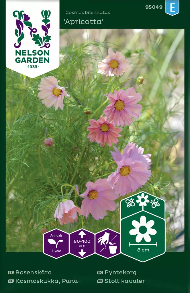 PUNSKOSMOSKUKKA APRICOTTA - Muut kesäkukkien siemenet - 7312600950498 - 1
