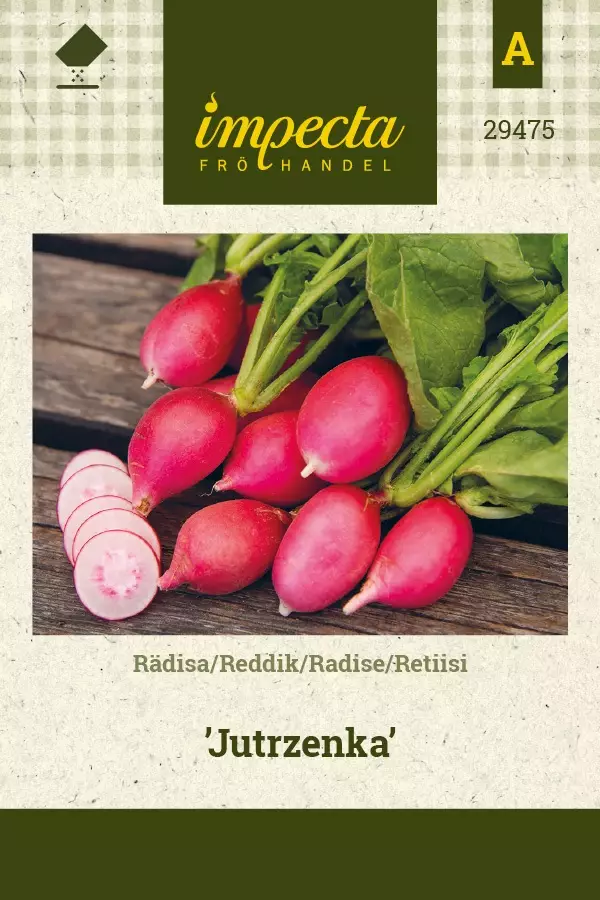 RETIISI JUTRZENKA - Muut vihannesten siemenet - 7332756294758 - 1