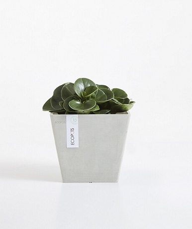 ROTTERDAM RUUKKU VALKOHARMAA 20 CM - Muoviruukut - 5413724301318 - 1