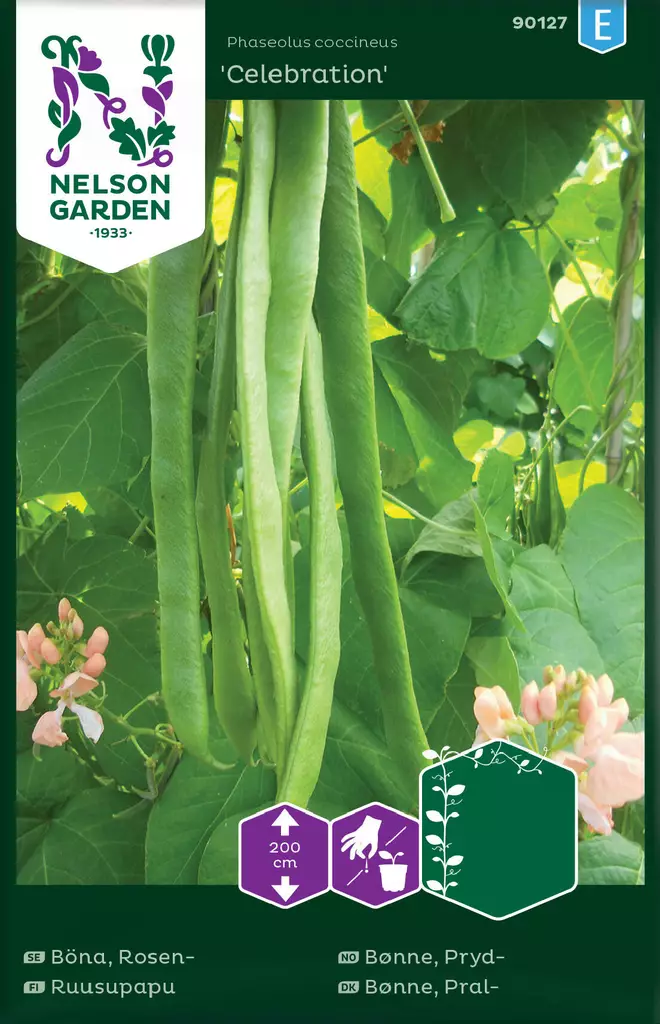 RUUSUPAPU CELEBRATION - Muut kesäkukkien siemenet - 7312600901278 - 2