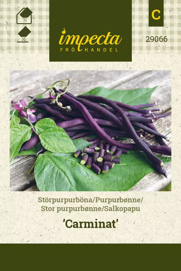 SALKOPAPU CARMINAT - Pavun siemenet - 7332756290668 - 1