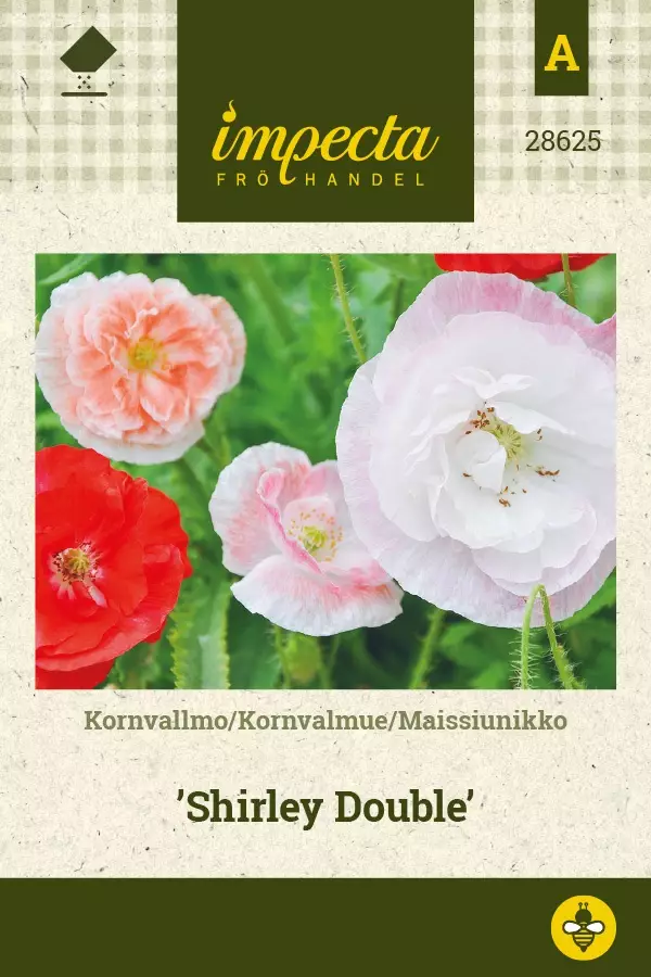 SILKKIUNIKKO SHIRLEY DOUBLE - Muut kesäkukkien siemenet - 7332756286258 - 1