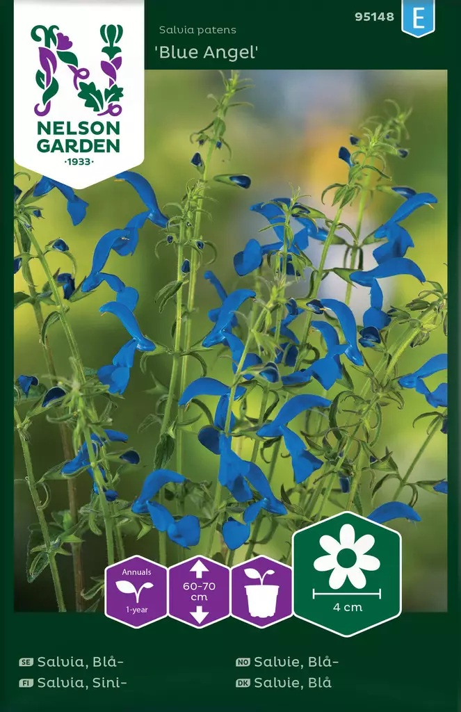 SINISALVIA BLUE ANGEL - Muut kesäkukkien siemenet - 7312600951488 - 2