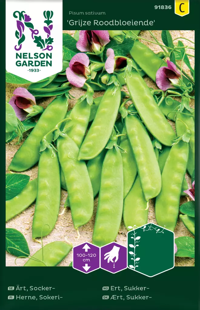 SOKERIHERNE GRIJZE ROODBLOIENDE - Herneen siemenet - 7312600918368 - 2